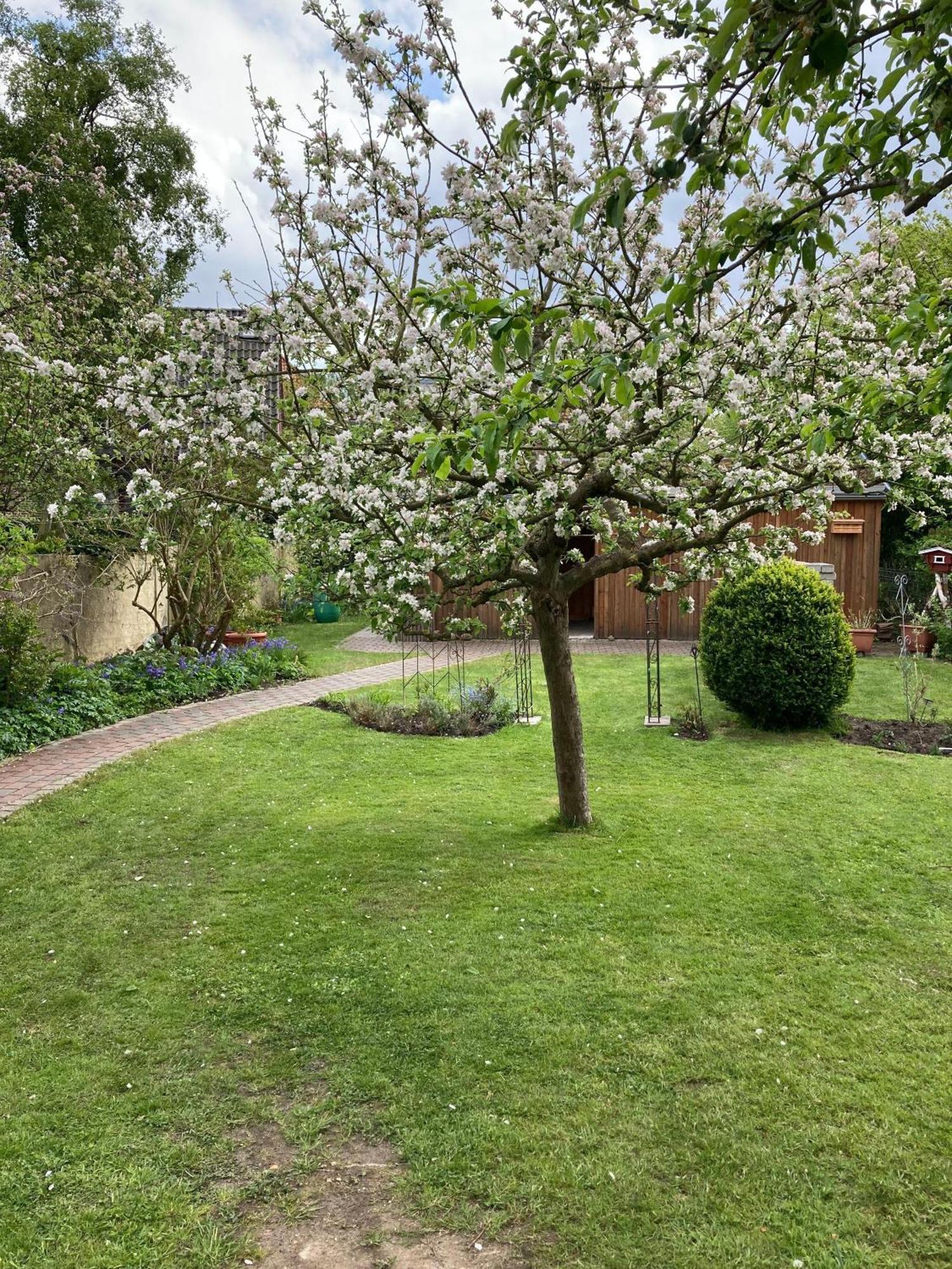 Apartment Charmante-ferienwohnung-in-der-fjordstadt Flensburg